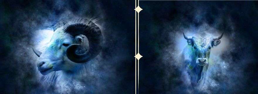 Benefits of Astrologer