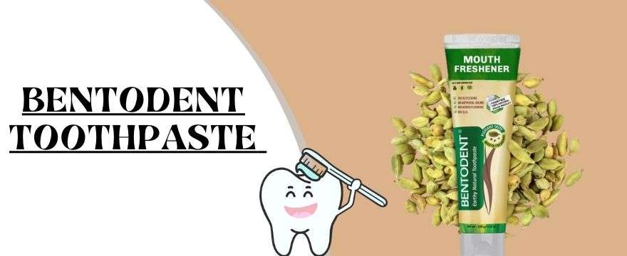 Bentodent is a Best Toothpaste Brands in India